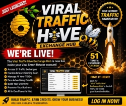 viraltraffichive.jpg