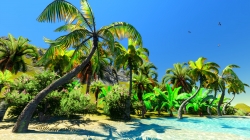 Fotolia_35256756_XL.jpg