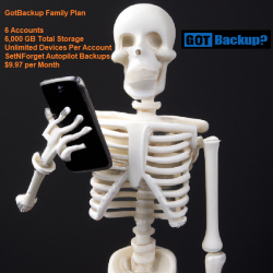 gbskeleton.png