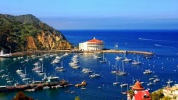 ISLAND SANTA CATALINA.jpg