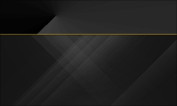 OneHundred%banner 01 gif.gif