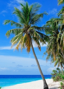 beachpicback2.JPG