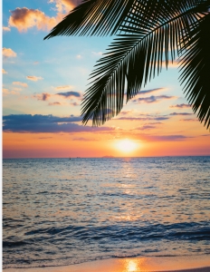 beachbackpic1.JPG