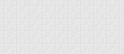 Untitled 3654.jpg