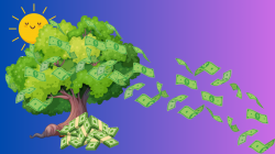 BABO MT.png