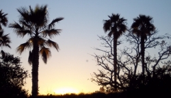 background -sunriseparktwitter.jpg