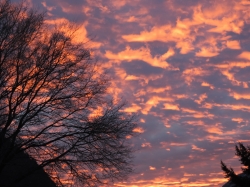 DSCN4260.JPG