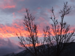 DSCN4262.JPG