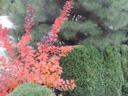 DSCN4222.JPG