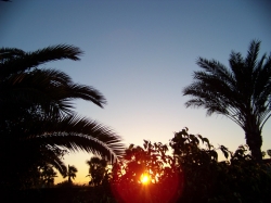 Morning sunrise_April 11 2013.jpg