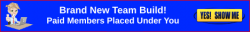 bsnner3 teambuild.png