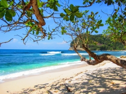 beach-2123440_1280.jpg