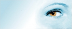 eye-428390_1280.jpg