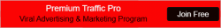 Premium Traffic.png