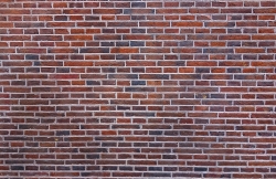 brick-wall-3112420_1920.jpg