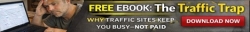The Traffic Trap banner 1 468x60.jpg