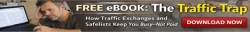 The Traffic Trap banner 2 468x60.jpg