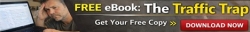 The Traffic Trap banner 3 468x60.jpg