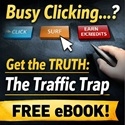 The Traffic Trap 125x125 2 banner jpg.jpg