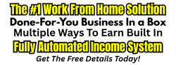 The #1 Work From Home Solution.png