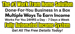 The #1 Work From Home Solution (1).png