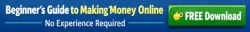 Beginners Guide to Making Money Online banner 1 468x60.jpg