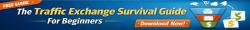 Traffis Exchange Survival Guide 728x90 Banner 1.jpg