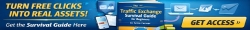 Traffis Exchange Survival Guide 728x90 Banner 2.jpg