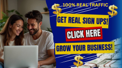 A 100% REAL TRAFFIC.png