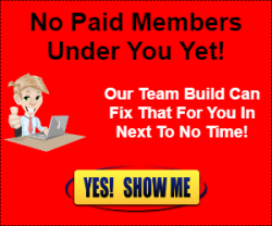 300x300 Team Build.png