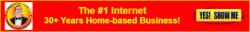 Number 1 home based business red yellow.png