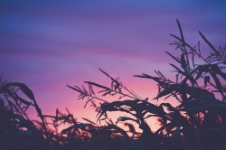 Calm Wallpapers 141.jpg