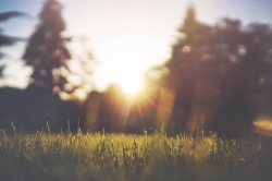 Calm Wallpapers 014.jpg