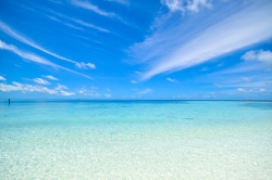 free image-beach.jpg