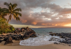 beach-1839922_1280.jpg