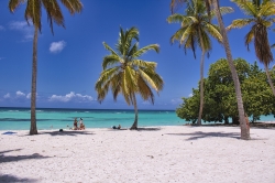 beach-6517214_1280.jpg