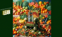 Big Picture Pics 1 (1).gif