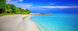beach-1824855_1280.jpg