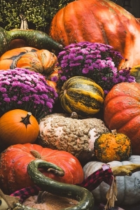 pumpkin-8349988_640.jpg