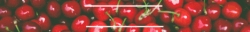 cherrys.gif