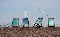 beach-814679_1280.jpg