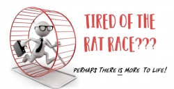 tired-of-the-rat-race.jpg
