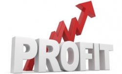 Profit Image 250.jpg