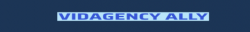 VID AGENCY ALLY 468.png
