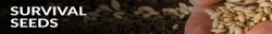 3survivalseeds.jpg