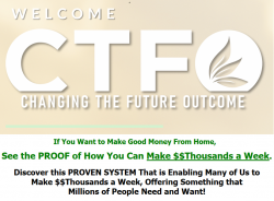 CTFO-worlprofit.png