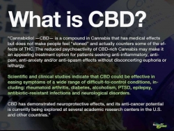 CBD2.jpg