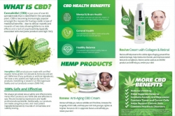 What-is-CBD-Oil.jpg