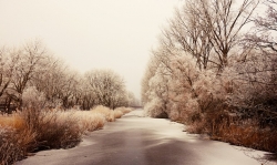 frozen-gab34d0703_640.jpg