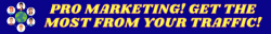 PRO MARKETING (1).png
